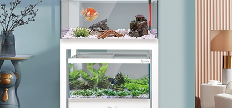 過(guò)濾系統(tǒng)作用