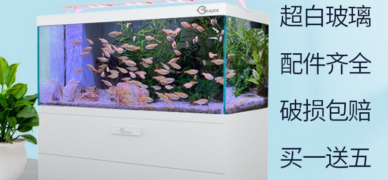 水草養(yǎng)護知識