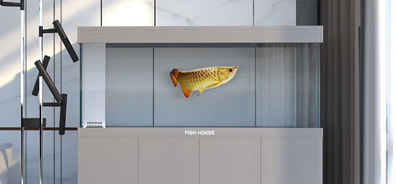 魚缸擺放風(fēng)水