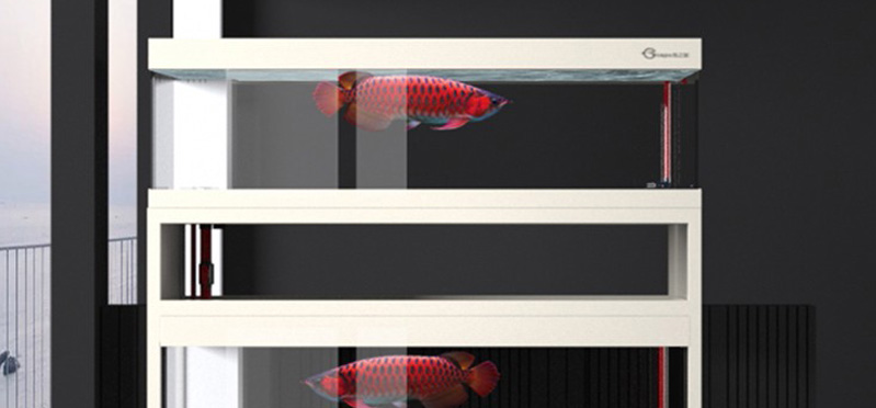 飼養(yǎng)常備藥物