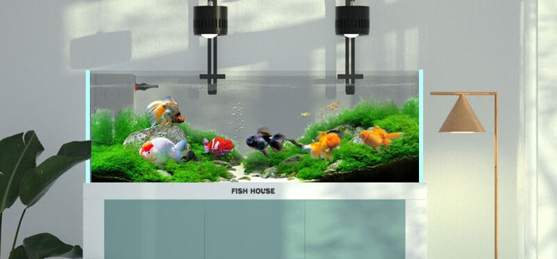 如何選擇過(guò)濾器材